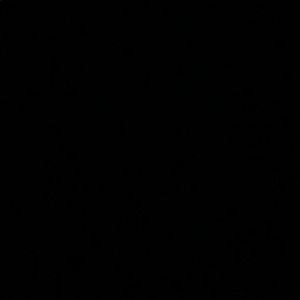 Meet your Posher, Benjamin